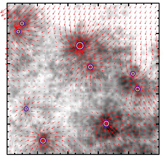 Модель межзвездной среды с плотными молекулярными облаками, из которых формируются протозвезды (изображены кружками, диаметр которых пропорционален массе). Стрелками показаны гравитационные силы.