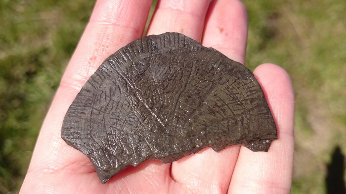 На датском острове обнаружили не менее 300 непонятных «солнечных камней»
