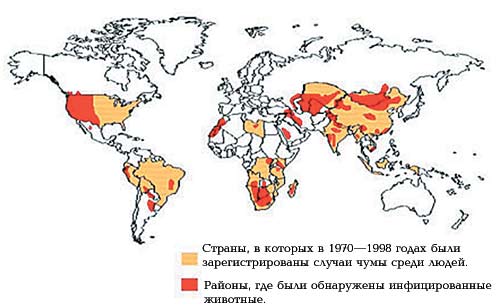 buy biological effects of