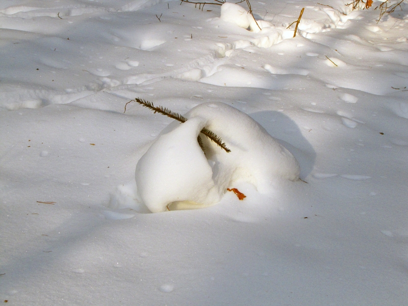 Пушистый снег укрыл елочку и получился ослик Ио.