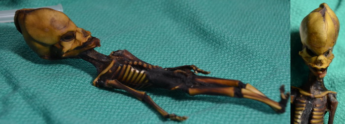 Мумифицированные останки «пришельца» из Атакамы. (Фото: Bhattacharya S et al. Genome Research, 2018)