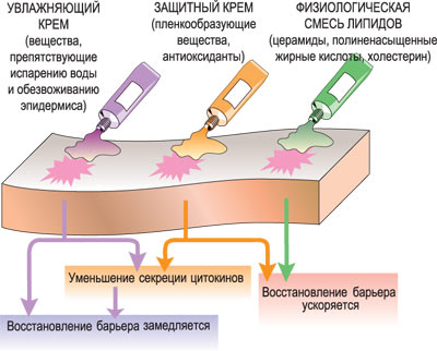 КОСМЕТИКА, КОТОРАЯ ЛЕЧИТ Кандидат биологических наук А. МАРГОЛИНА Ecc5c1b07ac400cb2feede2b865cc014