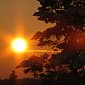 Финские сосны «видели» солнечную вспышку полтора столетия назад
