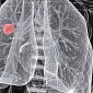 Раковые клетки защищаются от табачного дыма