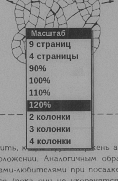 Меню выбора масштаба