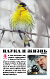 «Наука и жизнь» 2019_03(pdf)