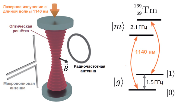 У кубитов из тулия долгая память