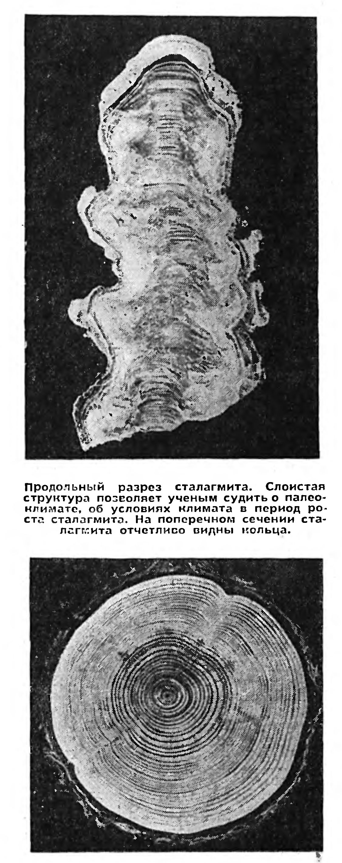 КАМЕННЫЙ КАЛЕНДАРЬ