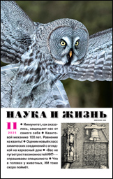 Обложка журнала «Наука и жизнь» №11 за 2025 г.