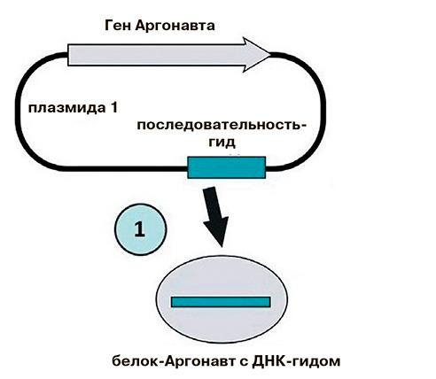 Лауреаты премии Правительства Москвы молодым учёным за 2025 год