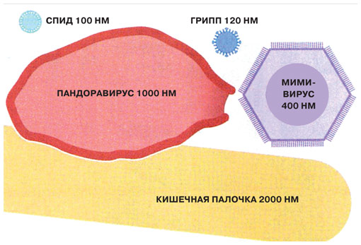 Бюро иностранной научно-технической информации. Октябрь 2013 № 10