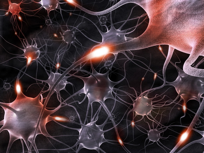 Как защитить нервные клетки при инсульте