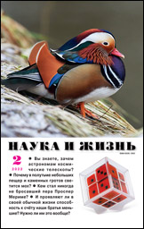 Обложка журнала «Наука и жизнь» №02 за 2022 г.