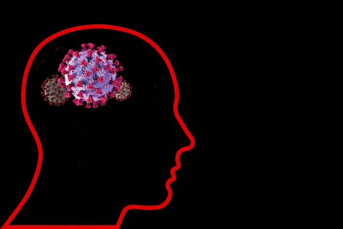 Коронавирус остаётся в мозге дольше, чем в лёгких