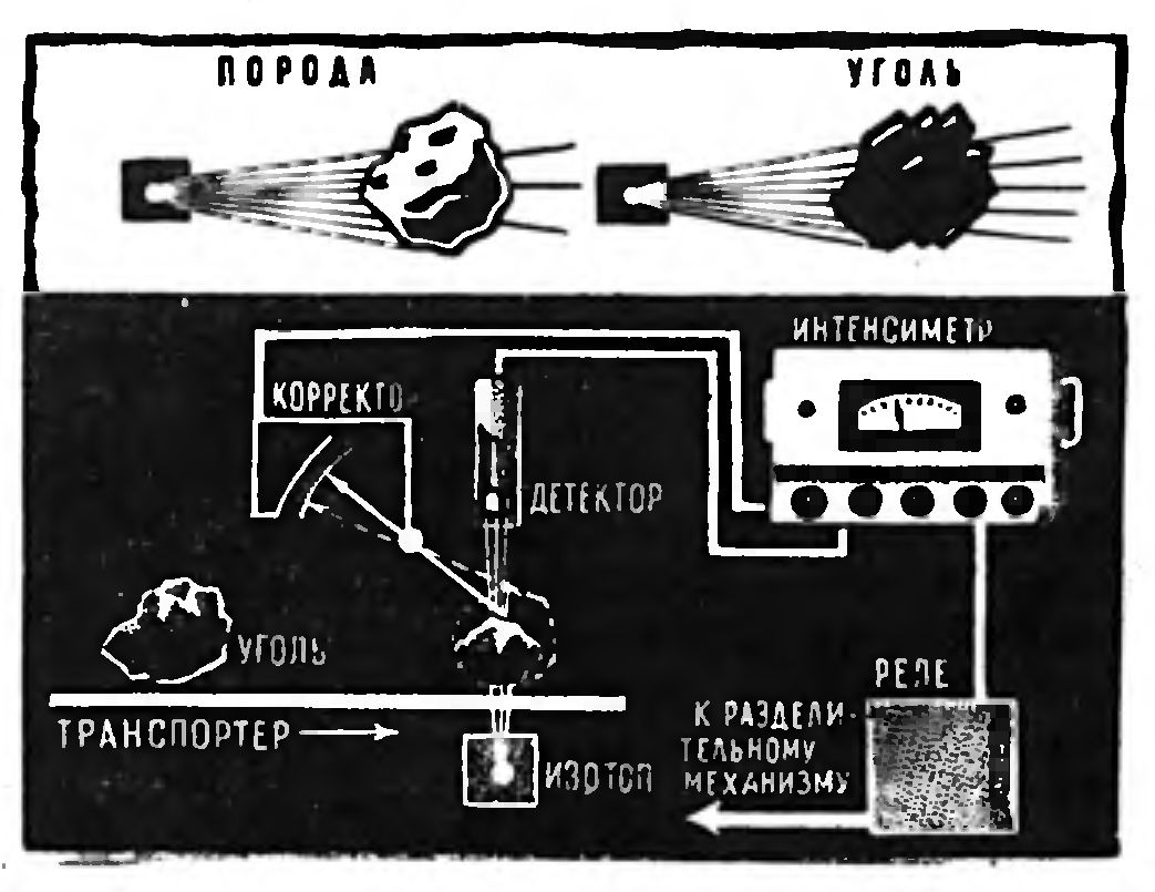 «Гамма-глаз» сортирует