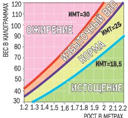 Ожирение – болезнь нашего времени