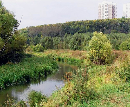 Разнотравные капилляры больших и малых городов