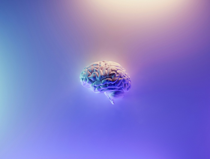 Нейроны укрепляют память воспалением