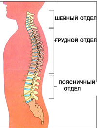 Если болит поясница