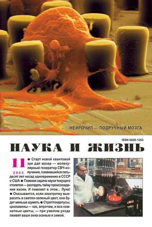 «Наука и жизнь» 2005_11 (pdf)