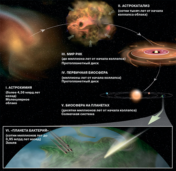 Искать основы жизни