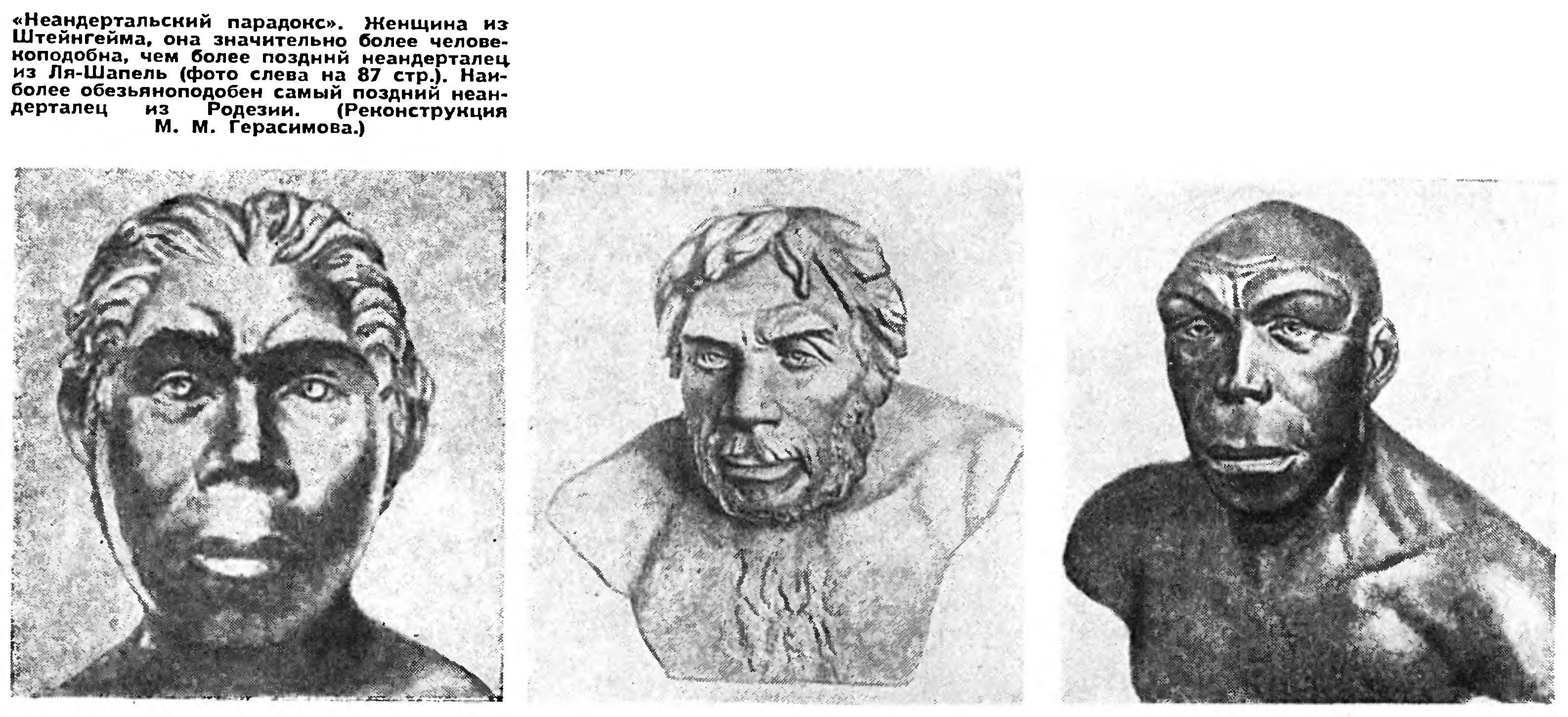 ПРОИСХОЖДЕНИЕ ЧЕЛОВЕКА