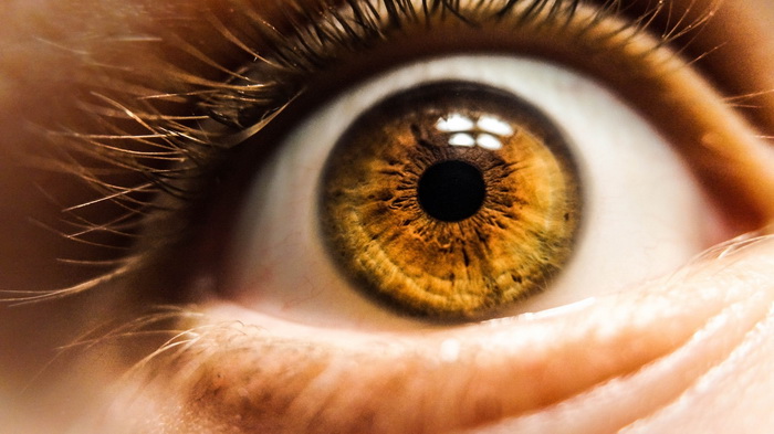 В больных глазах клетки выталкивают друг друга из сетчатки