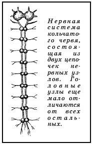 ЗАМЕТКИ О НАШЕМ ПОВЕДЕНИИ