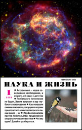 Обложка журнала «Наука и жизнь» №1 за 2009 г.