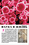 «Наука и жизнь» 2009_04 (pdf)