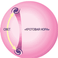 "КРОТОВЫЕ НОРЫ" ВЕДУТ В ДРУГУЮ РАЗМЕРНОСТЬ 