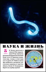 Обложка журнала «Наука и жизнь» №05 за 2023 г.