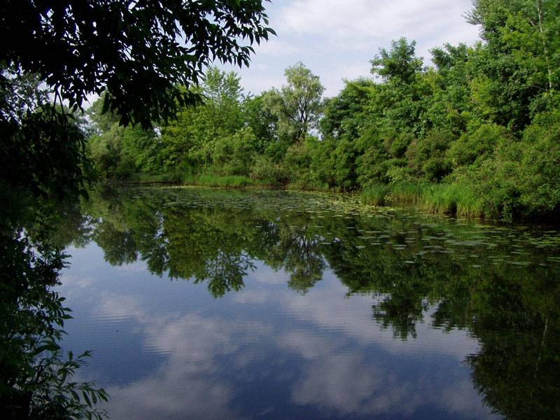 Вода-зелень-небо.