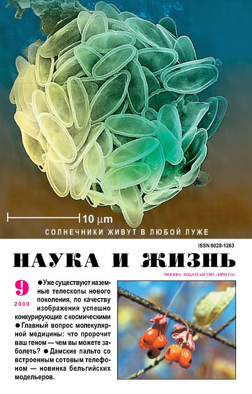 «Наука и жизнь» 2000_09 (pdf)