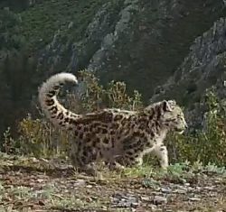 Рекордное прибавление