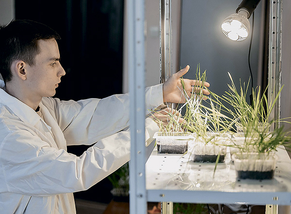 Цифровой двойник для «умных» удобрений