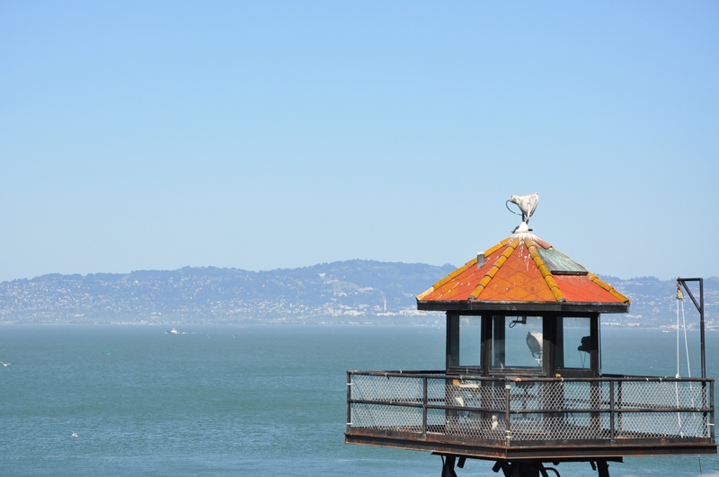 Alcatraz. Свободен только океан.