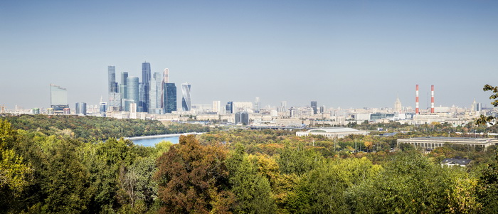 Пригородные леса не успевают поглощать городские выбросы