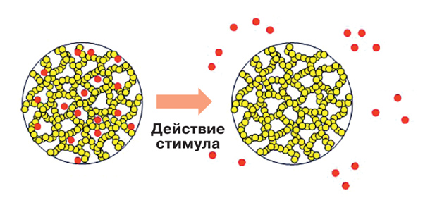 Умные полимеры в медицине 