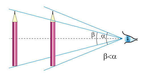 Один и тот же предмет визуально может иметь разные размеры в зависимости от удалённости от глаза наблюдателя.