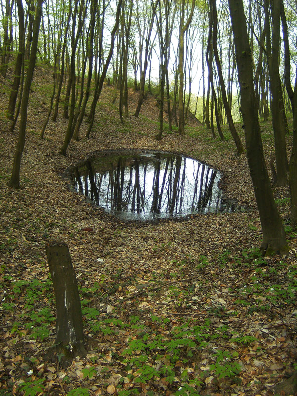 Карст с видом на небо. Озерцо в весеннем лесу на высоком берегу речки.