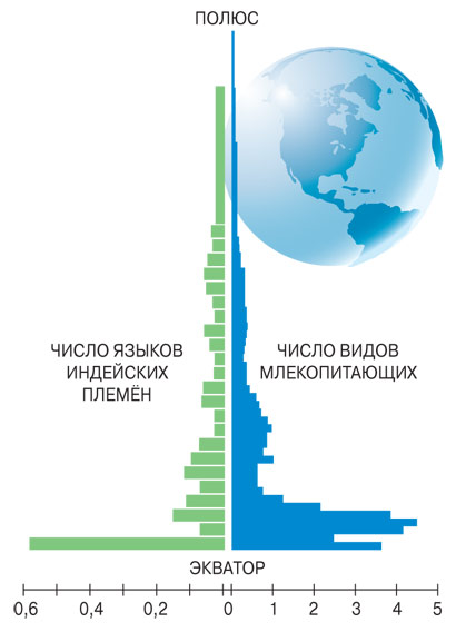 Почему языков так много?