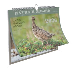 Календарь на 2026 год. "Самые красивые птицы" фотографа Олега Першина