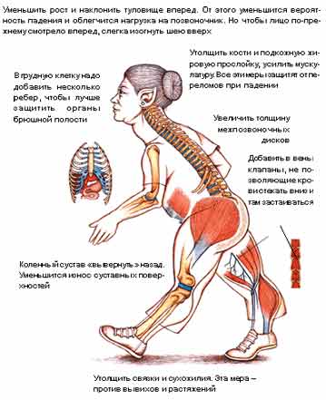 HOMO SAPIENS, МОДЕЛЬ 2