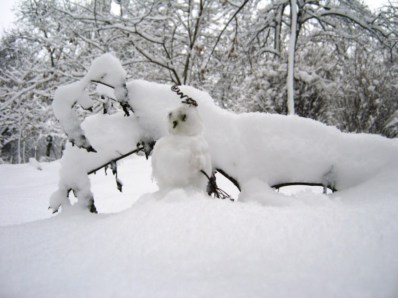  	 Зима, парк, снежная причудливая "лапа" с фигуркой снеговичка.