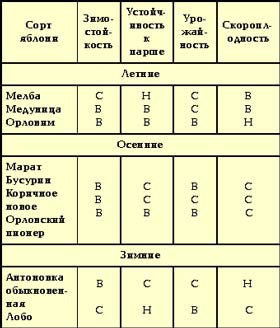 ЯБЛОНИ, КОТОРЫЕ НЕ ОГОРЧАТ