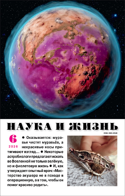 №6,2026
