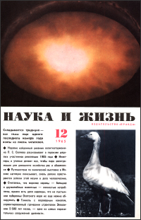 «Наука и жизнь» 1965_12 (djvu)