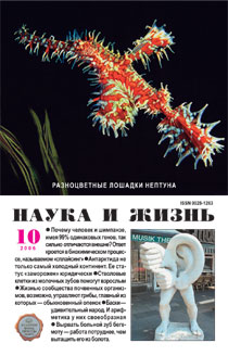 Обложка журнала «Наука и жизнь» №10 за 2006 г.