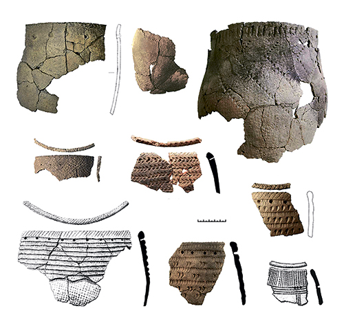 Неолитические охотники Ангары и Байкала собирали мёд